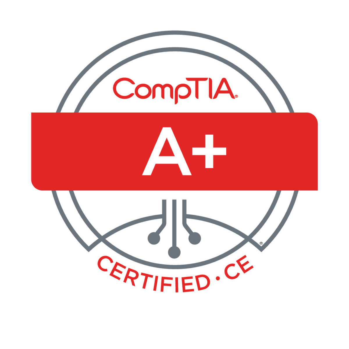 Verification code: 1JTQ03SF7LE1Q0G8     Verfiy at: http://verify.comptia.org